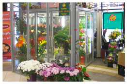 Холодильные камеры для цветов